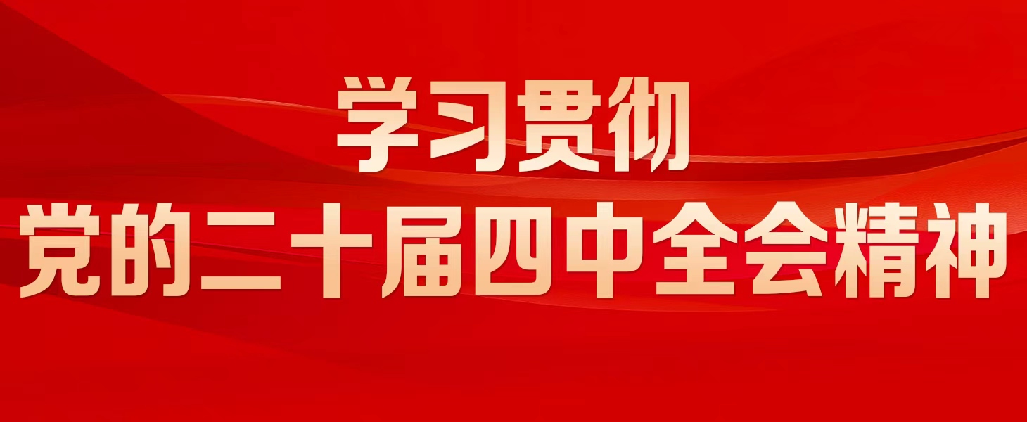 學習貫徹黨的二十屆四中全會精神